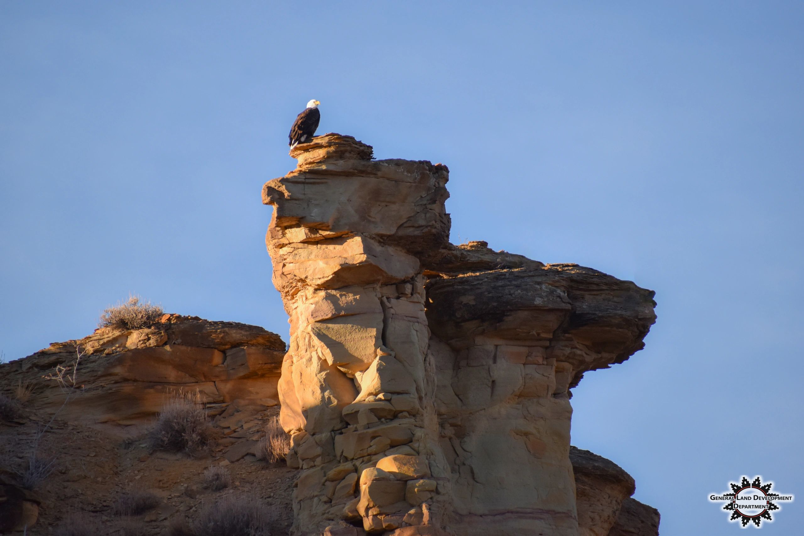 Navajo Nation General Land Development Department (GLDD)